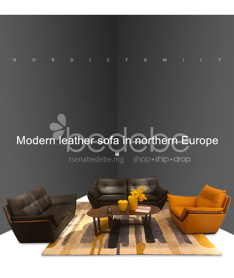 Oml 602 Living Room Nordic Modern, Minimalist Leather Sofa